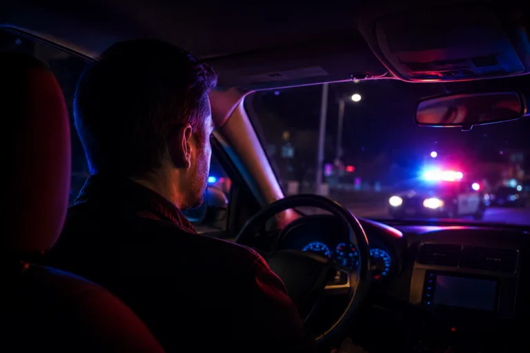 Driver seen from behind at night with police lights visible through the windshield — DWLS and DWLR suspended and revoked license charges in Michigan