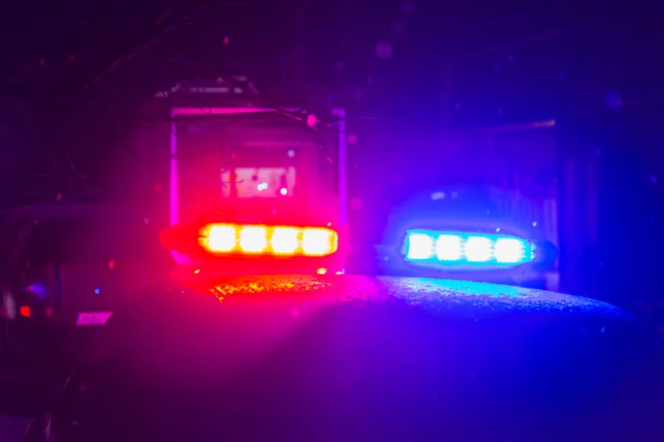 Police lights at night during Michigan DUI traffic stop
