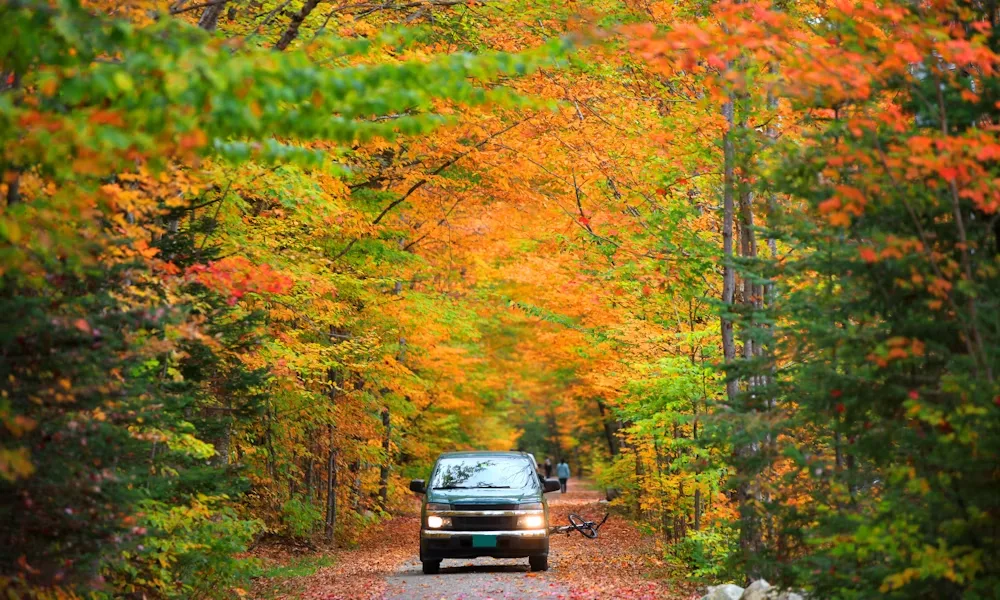 get-back-on-the-road-img