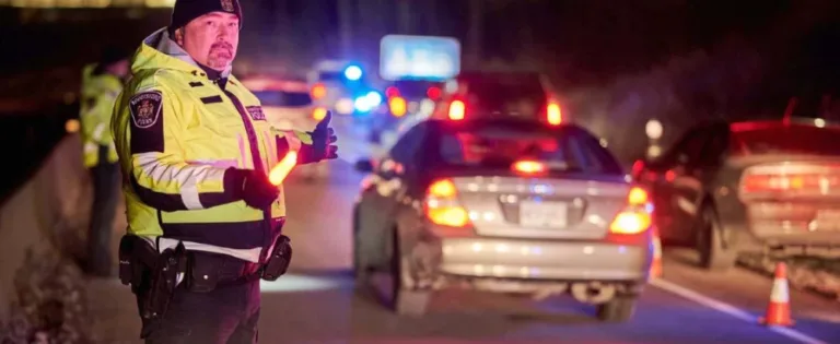 Police officer in high-visibility jacket directing traffic at a nighttime roadside checkpoint