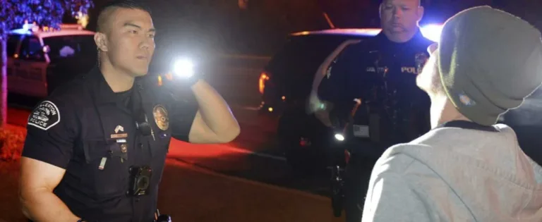 Police officer shines flashlight at detained driver during nighttime roadside stop